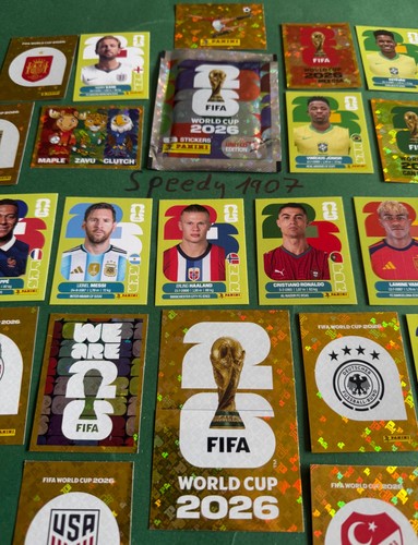 Panini fifa world cup - world,